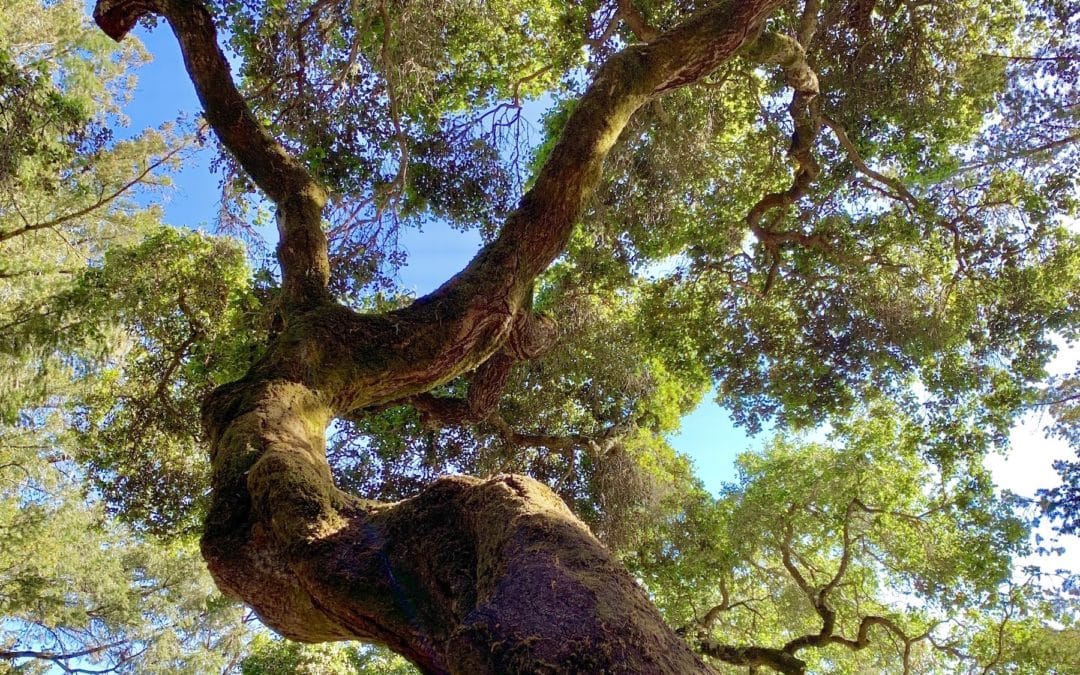 The Great Intersection: Lessons from the Science of Happiness Gathering