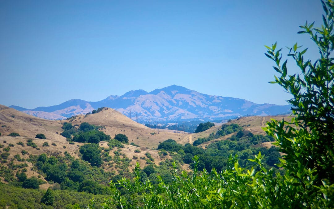 Look to the Hills