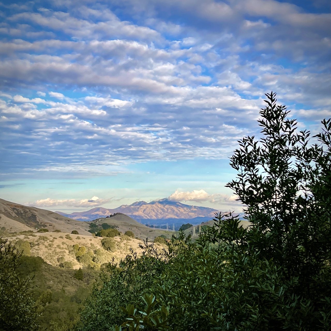 Liminal Space photo 1 view of Mt. Diablo in the distance under speckled sky